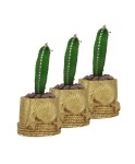 Mini Çiçek Saksı Küçük Sukulent Altın Kaktüs Saksısı 3lü Set Deniz Yıldızlı Kabuklu Model